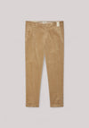 PANTALONE UOMO VELLUTO TORTORA
