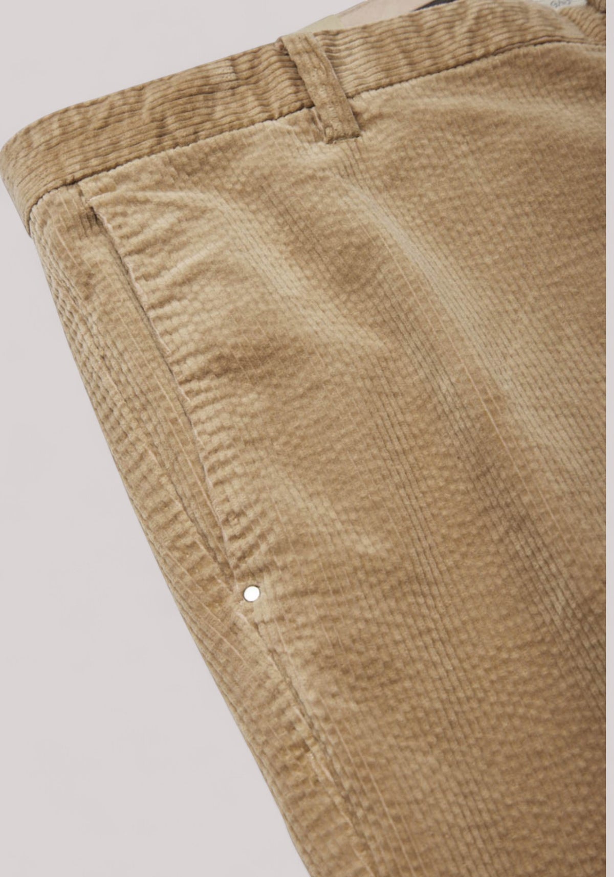 PANTALONE UOMO VELLUTO TORTORA